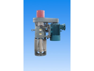 螺桿泵驅(qū)動(dòng)裝置